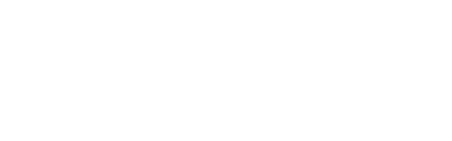 Charleston International Airport logo