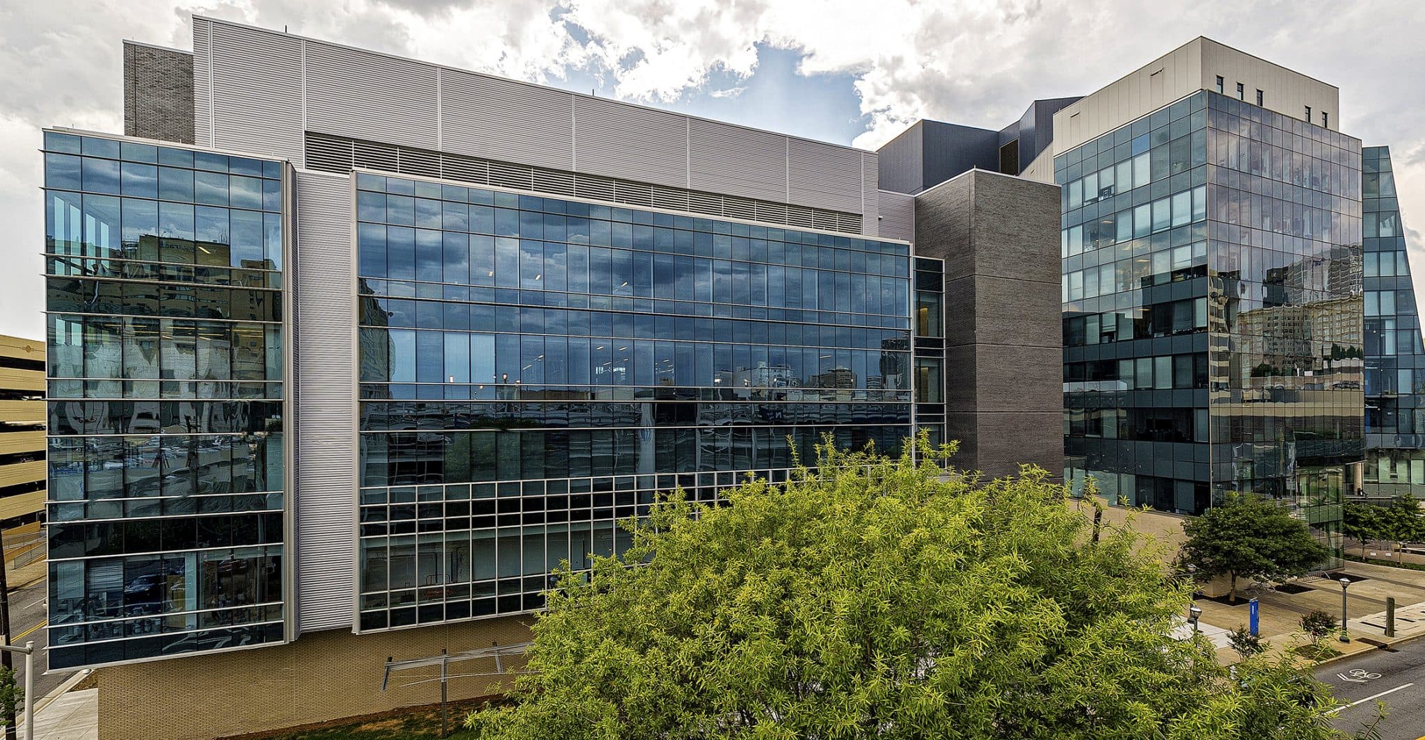 Georgia State University Science — image 14